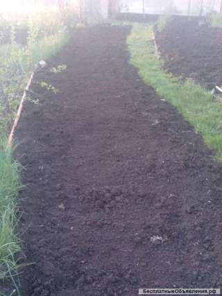 Садовые работы