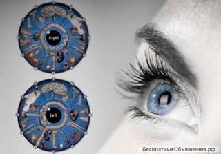 Обследование организма