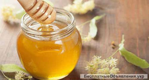 Куплю мед оптом