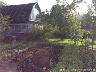 Сад в черте города