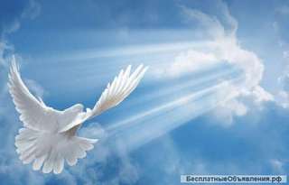 Записки на Стену Плача в Иерусалиме., Освящение икон, крестов итд.в Храме Гроба господня.