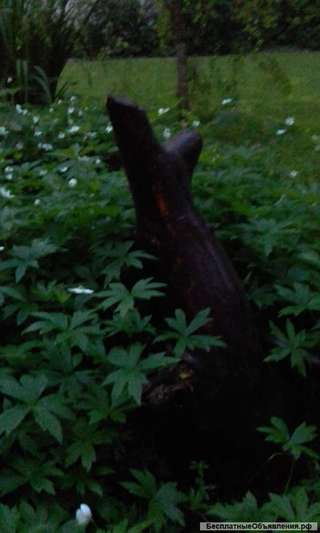 Обмен детсада снегири на родники