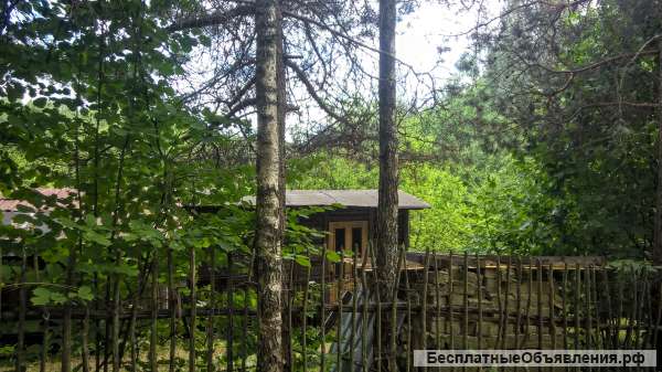 Шикарный участок 25 соток ИЖС в лесу под Печорами, бытовка и баня