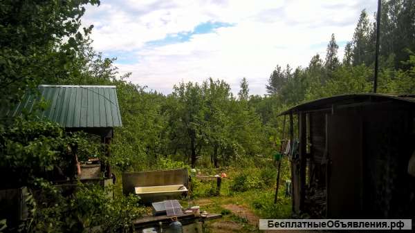 Шикарный участок 25 соток ИЖС в лесу под Печорами, бытовка и баня