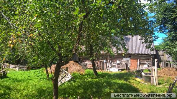 Очаровательный земельный участок 1 гектар земли поселений, домик и баня