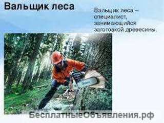 Требуются мобильные бригады вальщиков леса