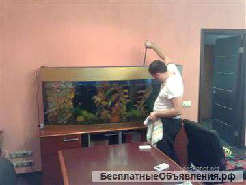 Обслуживание и оформления аквариума