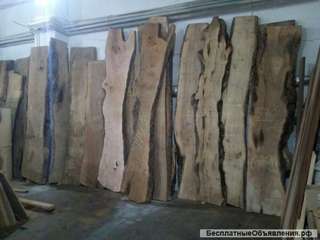Спилы из реликтовой древесины