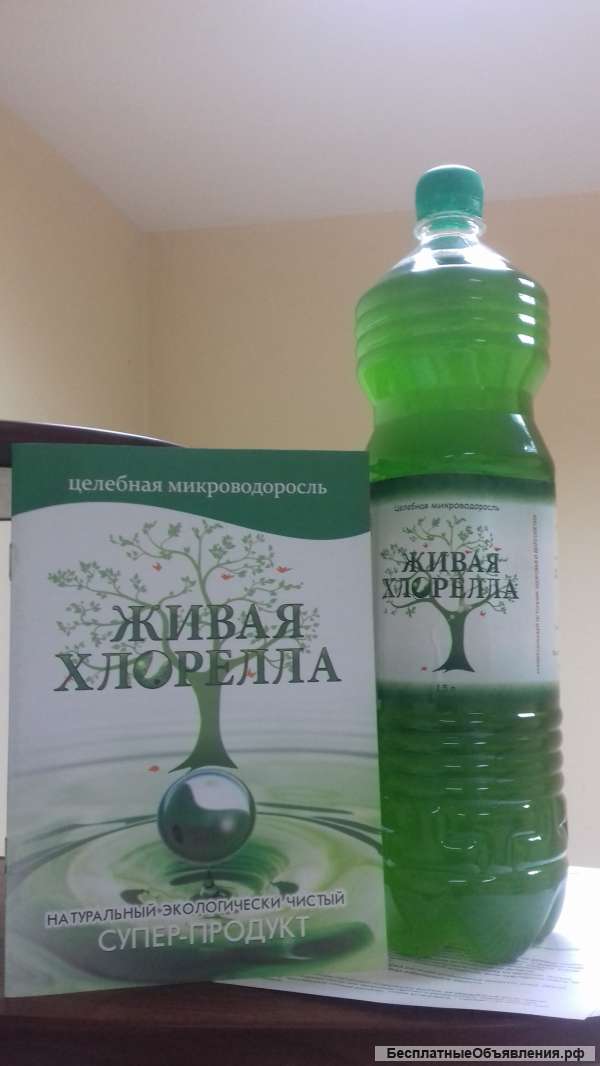 Живая Хлорелла
