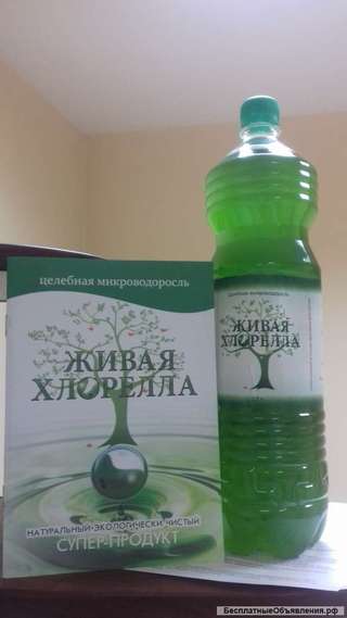 Живая Хлорелла