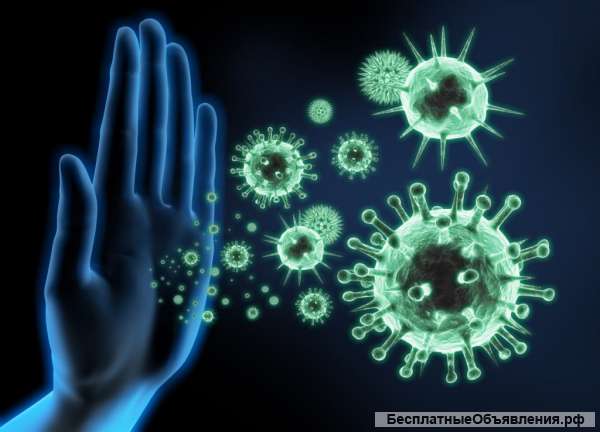 Курс "Целитель"