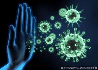 Курс "Целитель"