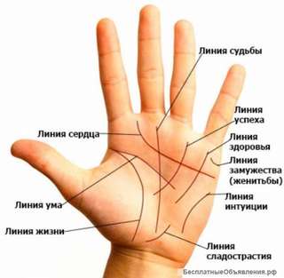 Хиромант, хиролог