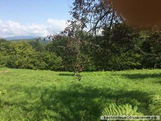 З/у 25 сот Сочи, с.Каштаны, Хоста