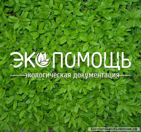 Разработка экологической документации