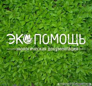 Разработка экологической документации