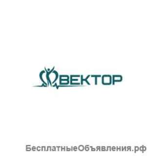РЦ Вектор