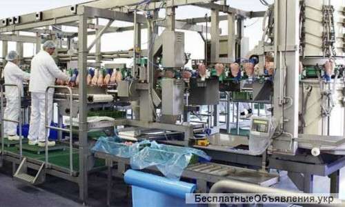 Работники на куриный мясокомбинат в Польшу
