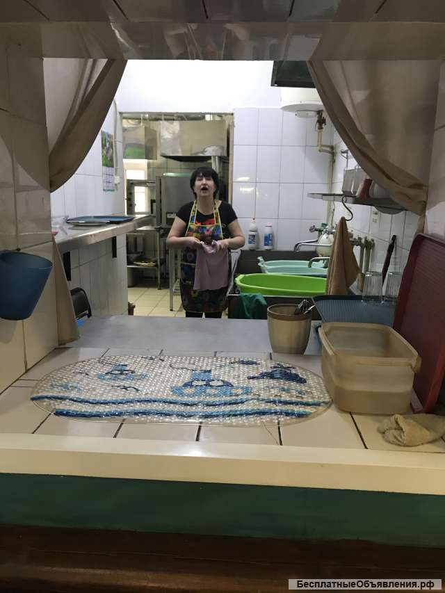 Мойщица посуды