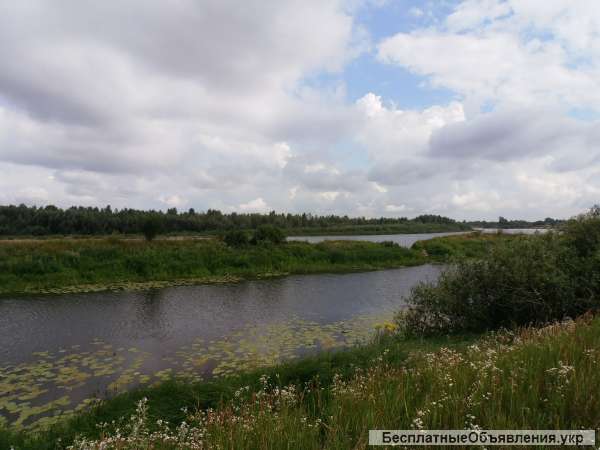 Участок под застройку с. Зазимье 25 соток в 50 метрах от речки Десна