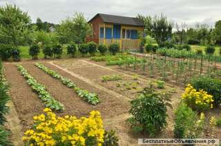 Покос травы, копка "Кротом"огородов, накошу травки козам или кроликам