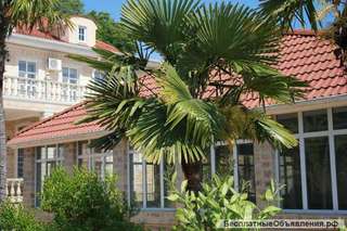 Роскошная вилла 640 м2 в Сочи