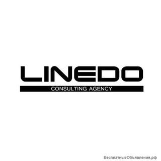 Linedo Latvia Консалтинговое Агенство