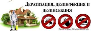Услуги по дезинсекции, дератизации и дезинфекции