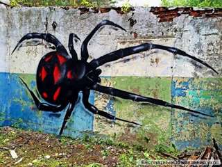 Граффити - художественное оформление  Роспись стен