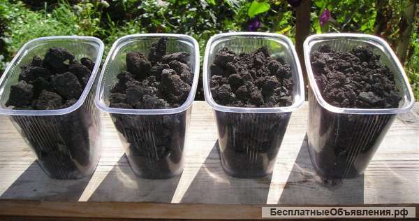 Искусственная почва на сапропеле для экологически чистой с/х продукции