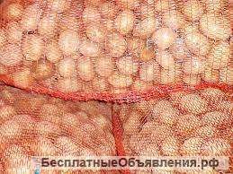Картофель прямиком со склада производителя, по дисконтной цене
