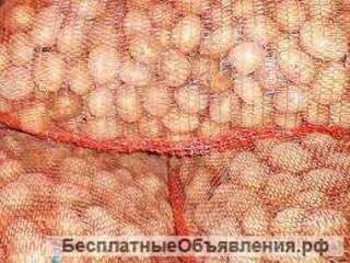 Картофель прямиком со склада производителя, по дисконтной цене