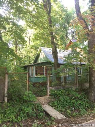 Нежилое помещение свободного назначения