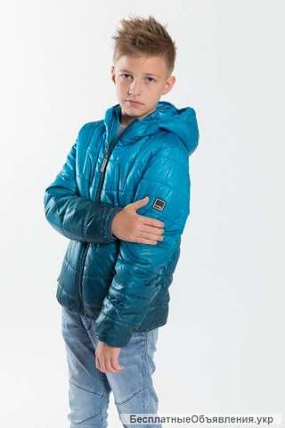 Reporter Young демисезонная куртка для мальчиков Blue