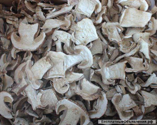 Белые сушеные грибы из Алтайского края оптом и в розницу