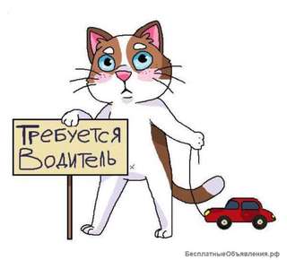 Водитель