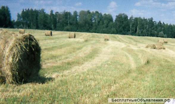 Участок 1,7 ГА КФХ по Симферопольскому ш, 130 км от МКАД