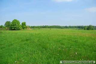 Земельный участок 11 га