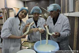 Курсы сыроваров в Москве