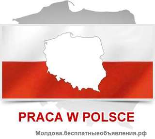 Разнорабочие на мебельный завод Польша