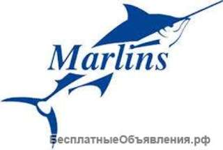 Сдача Marlin Test (пробный) без регистрации