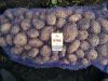 Картофель отличного качества