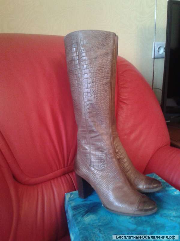 Сапоги весна - осень на средне полную ногу, новые, фирма CAVALETTO, торг