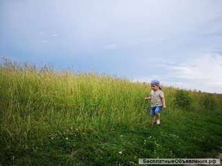 Мельница Фермер 2 Пектус к 531