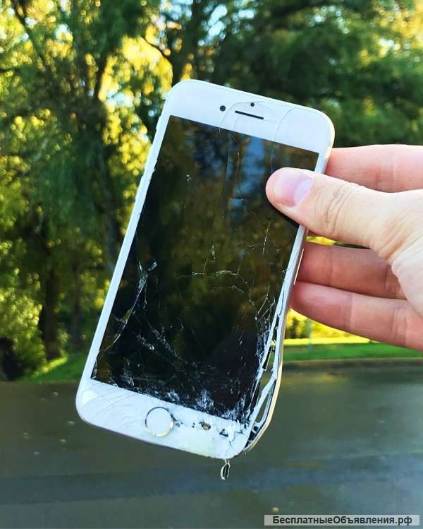 Замена дисплея iPhone 6S Plus