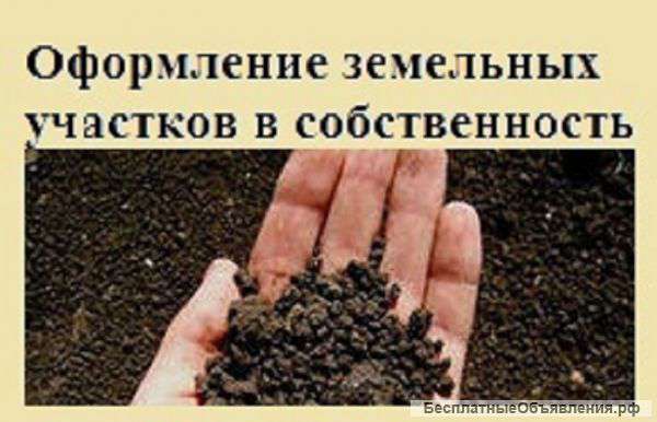 Оформление земельного участка в собственность