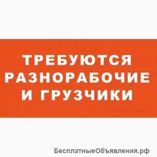 Грузчик (ежедневные выплаты)