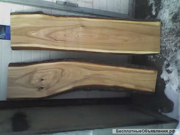 Слэб дуба/карагача/ясеня