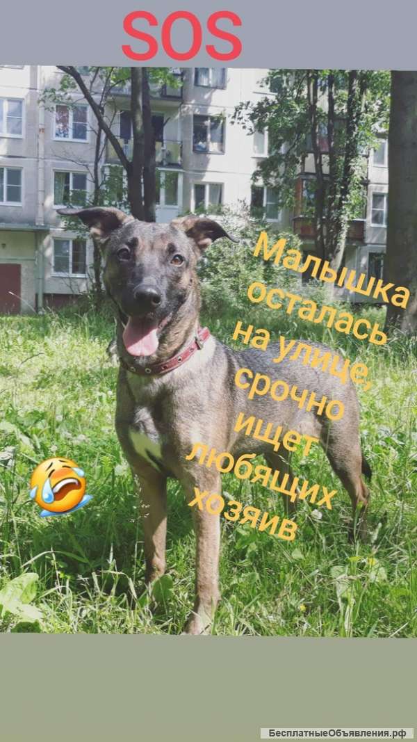 Нужна помощь малышке Ненси