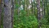 Участок 25 соток ИЖС на лесной опушке в 10-ти км. от Пскова